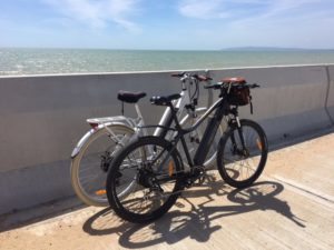 Rye Harbour e-bike hire